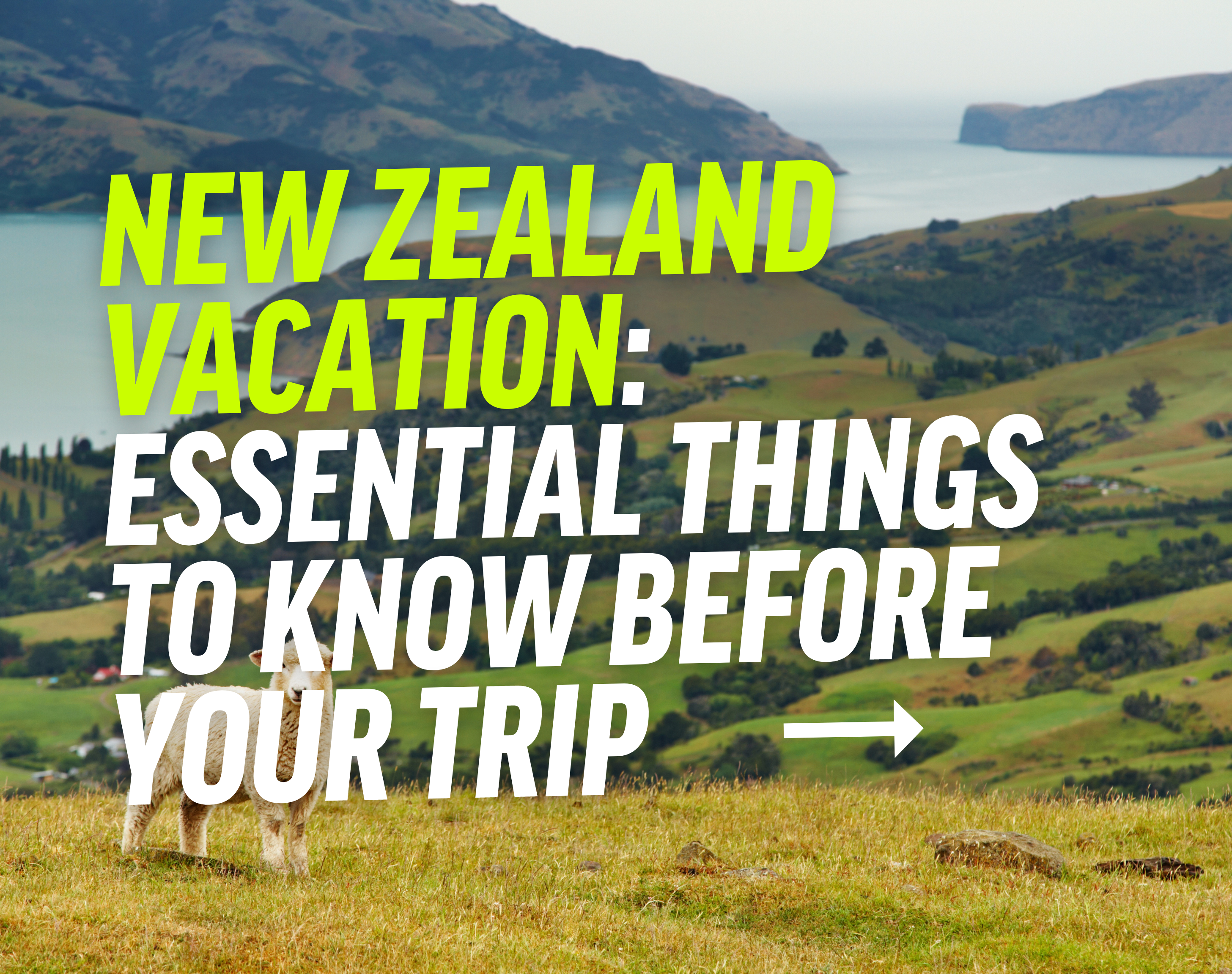 New Zealand Vacation: Essential Things to Know Before Your Trip