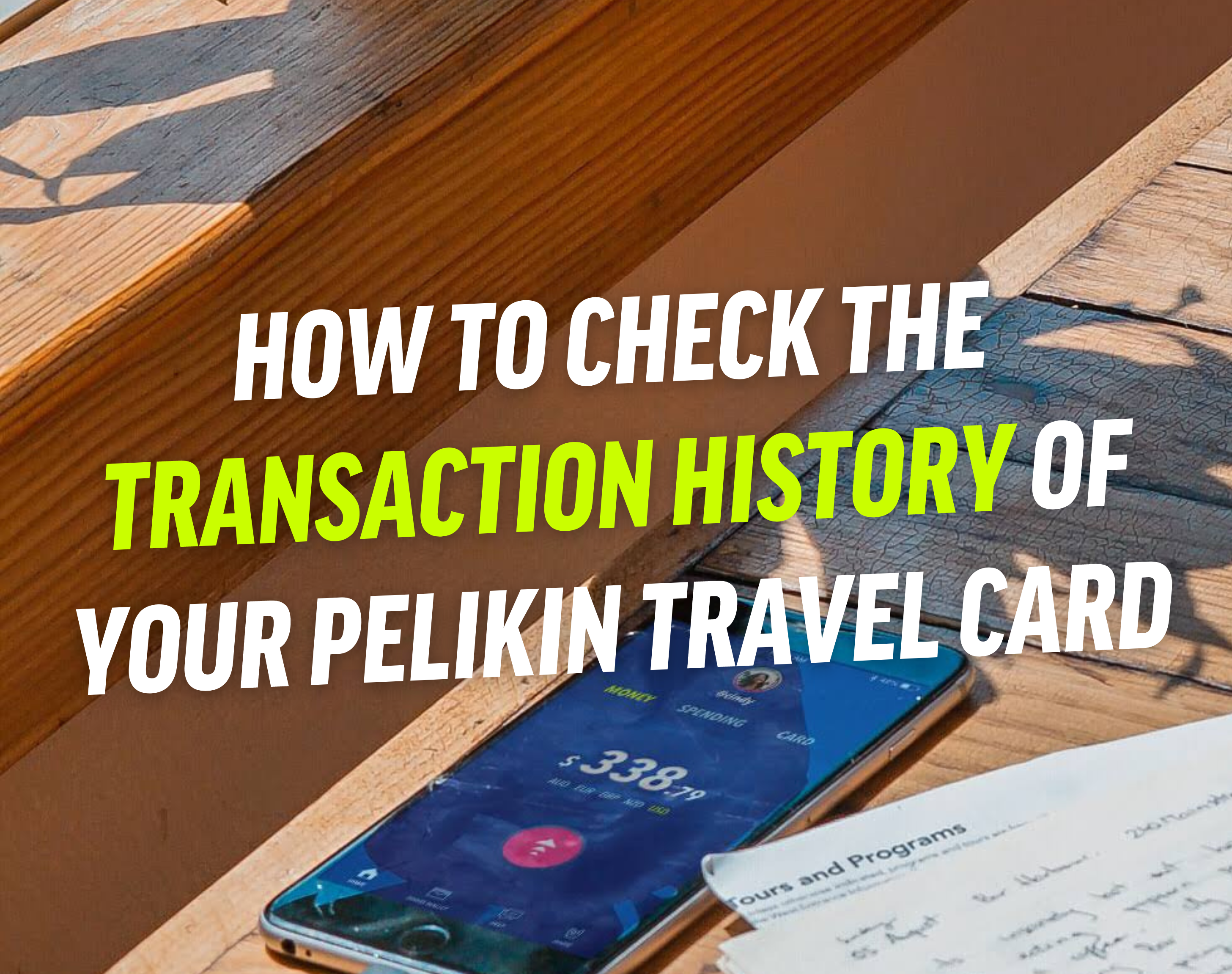 How to Check the Transaction History of Your Pelikin Travel Card