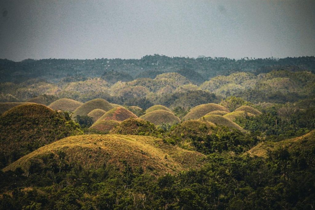 Explore Chocolate Hills of Bohol